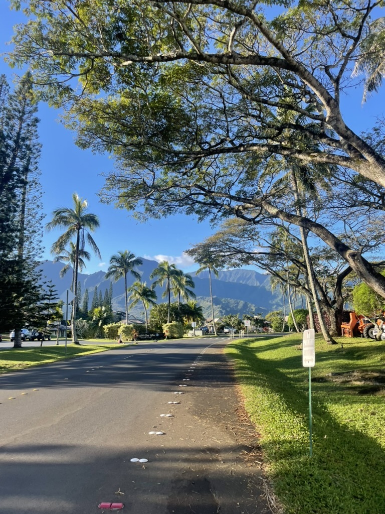 Hanalei road