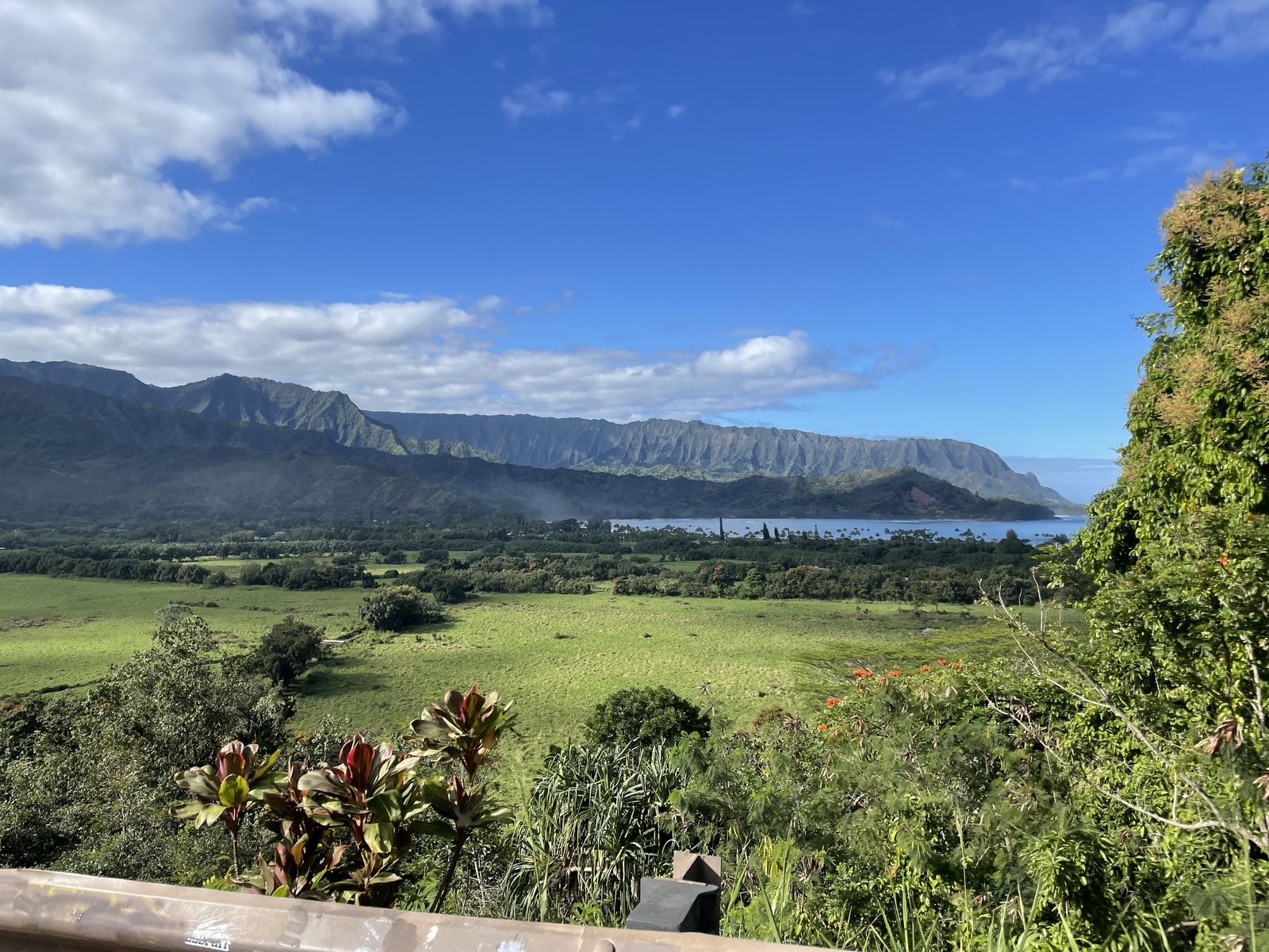 Hanalei valley overlook