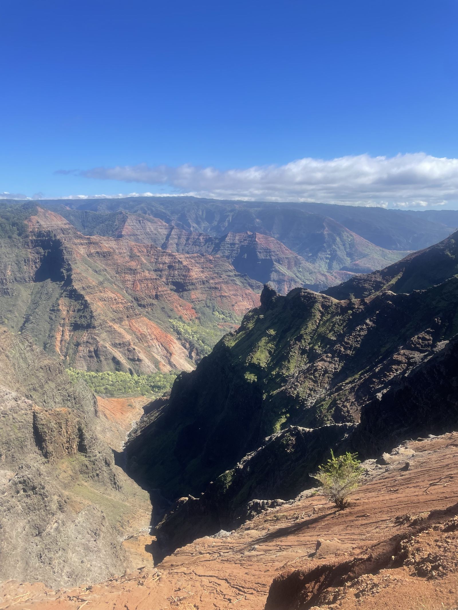 Waimea Canyon